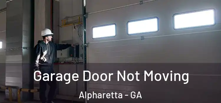  Garage Door Not Moving Alpharetta - GA